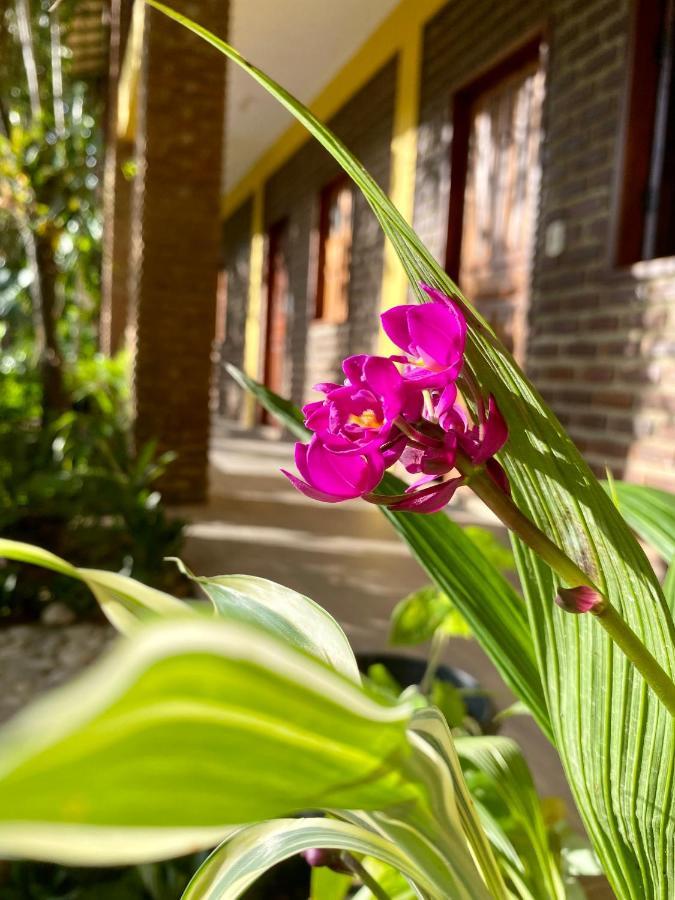 Pousada Aruana Otel Porto Seguro Dış mekan fotoğraf